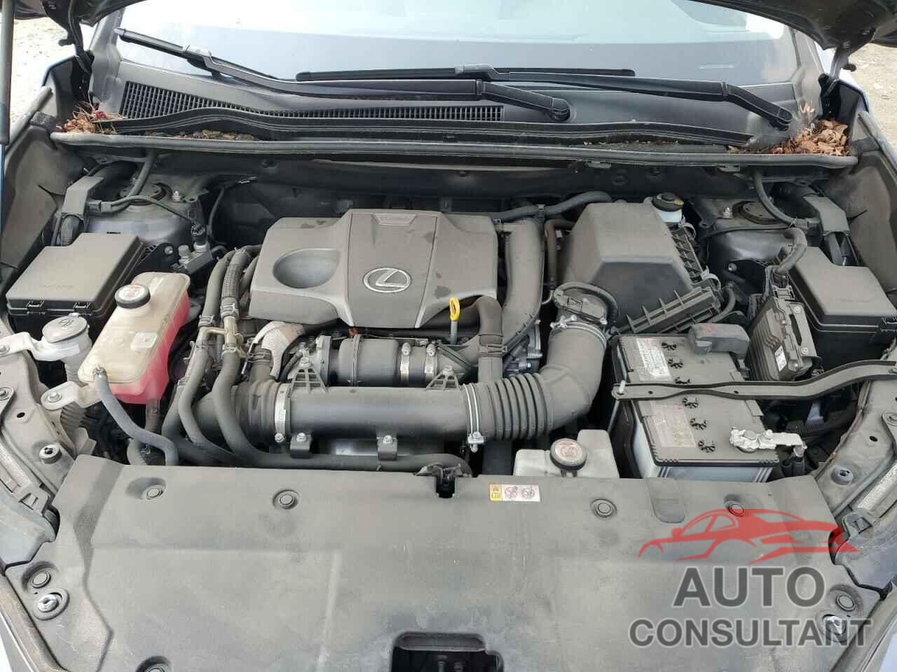 LEXUS NX 2020 - JTJDARDZ5L5005291