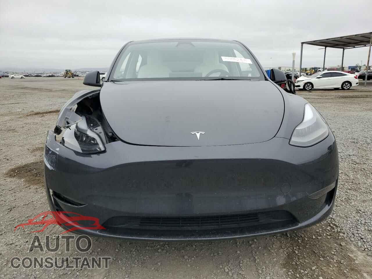 TESLA MODEL Y 2024 - 7SAYGDED4RF103411
