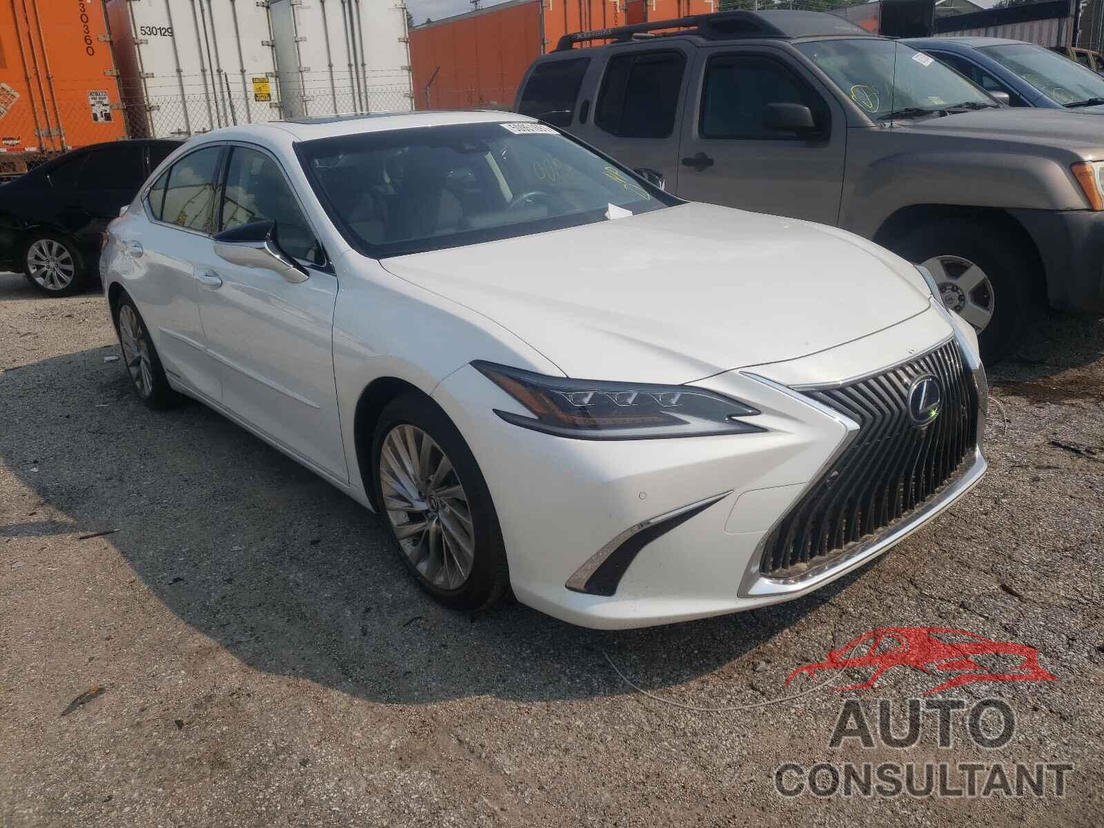 LEXUS ES300 2019 - JTHB21B14K2042188