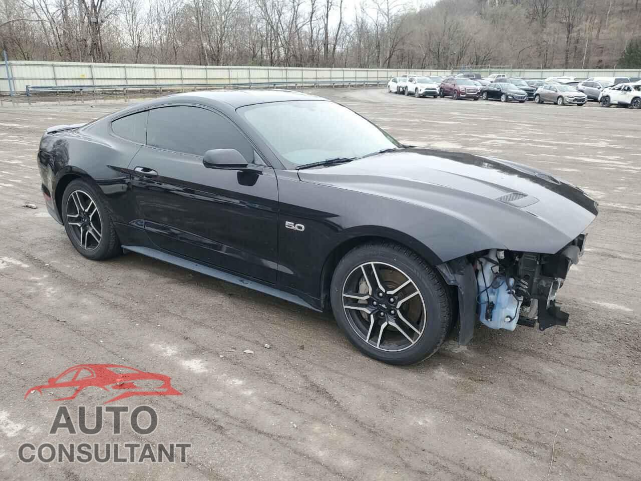 FORD MUSTANG 2019 - 1FA6P8CF1K5111835