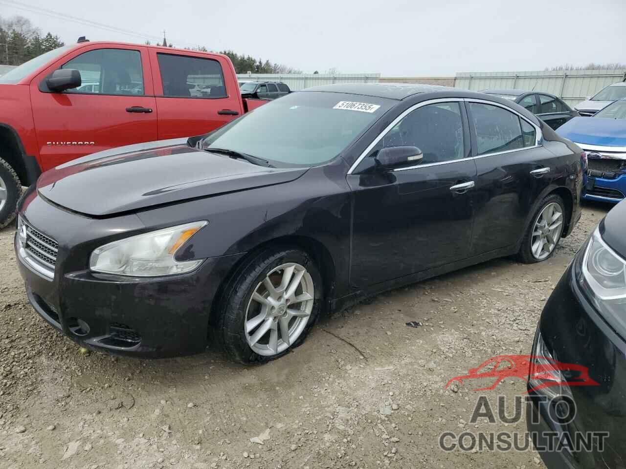 NISSAN MAXIMA 2011 - 1N4AA5AP1BC826518