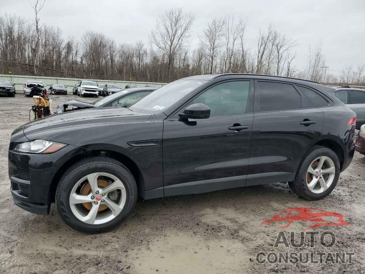 JAGUAR F-PACE 2019 - SADCJ2FXXKA367127