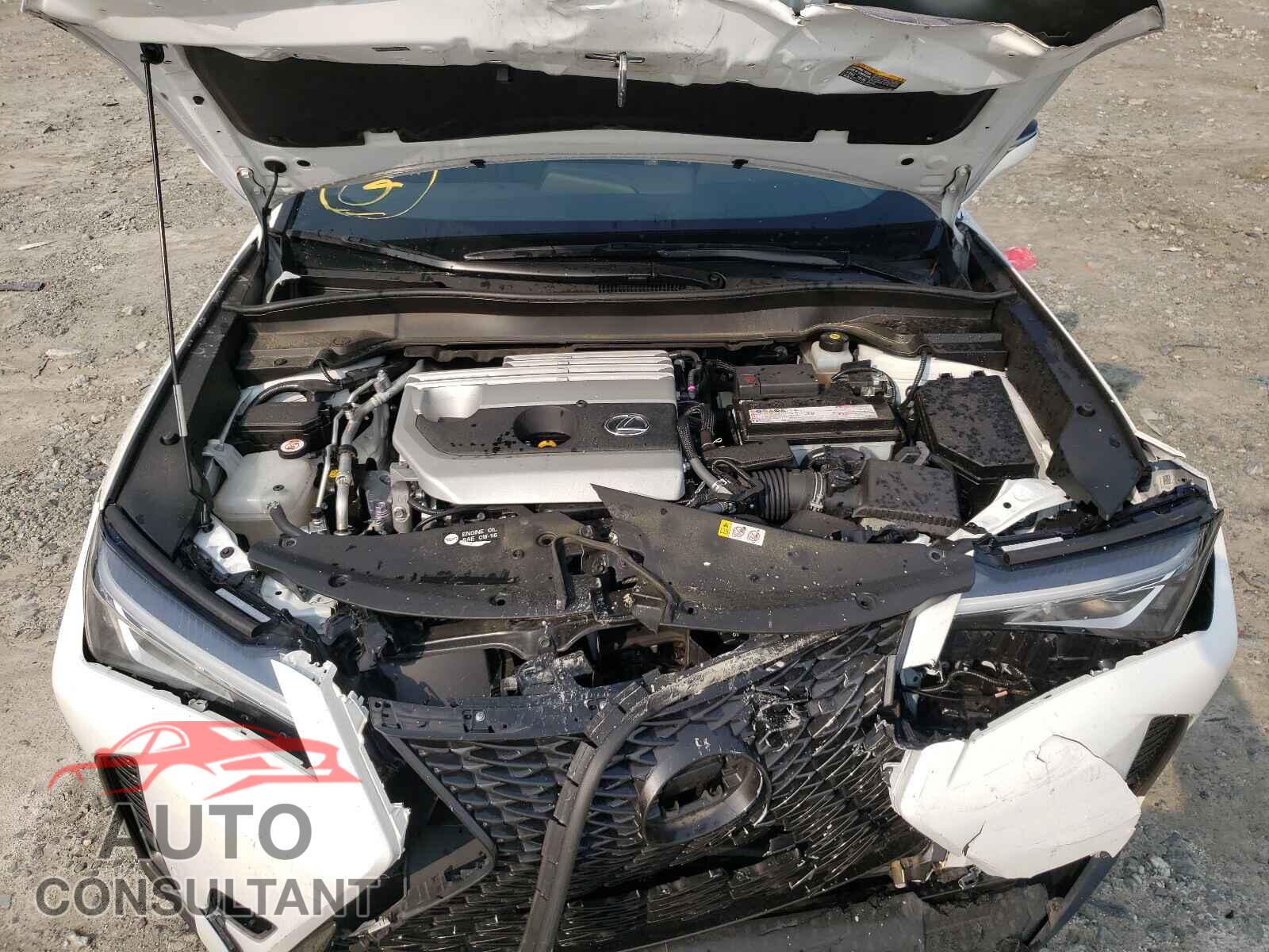 LEXUS UX 200 2019 - JTHY3JBH2K2013227