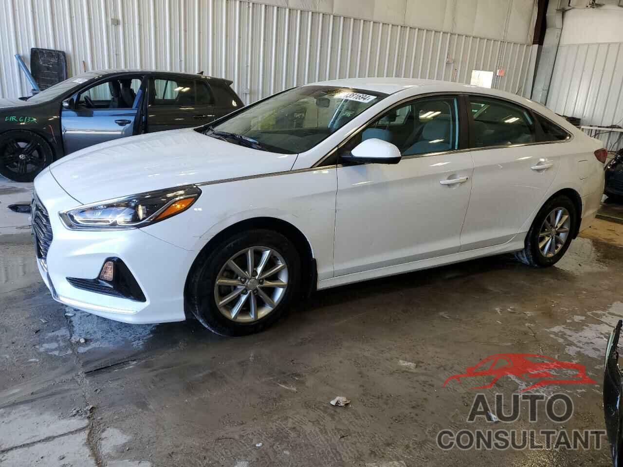 HYUNDAI SONATA 2019 - 5NPE24AF7KH809298