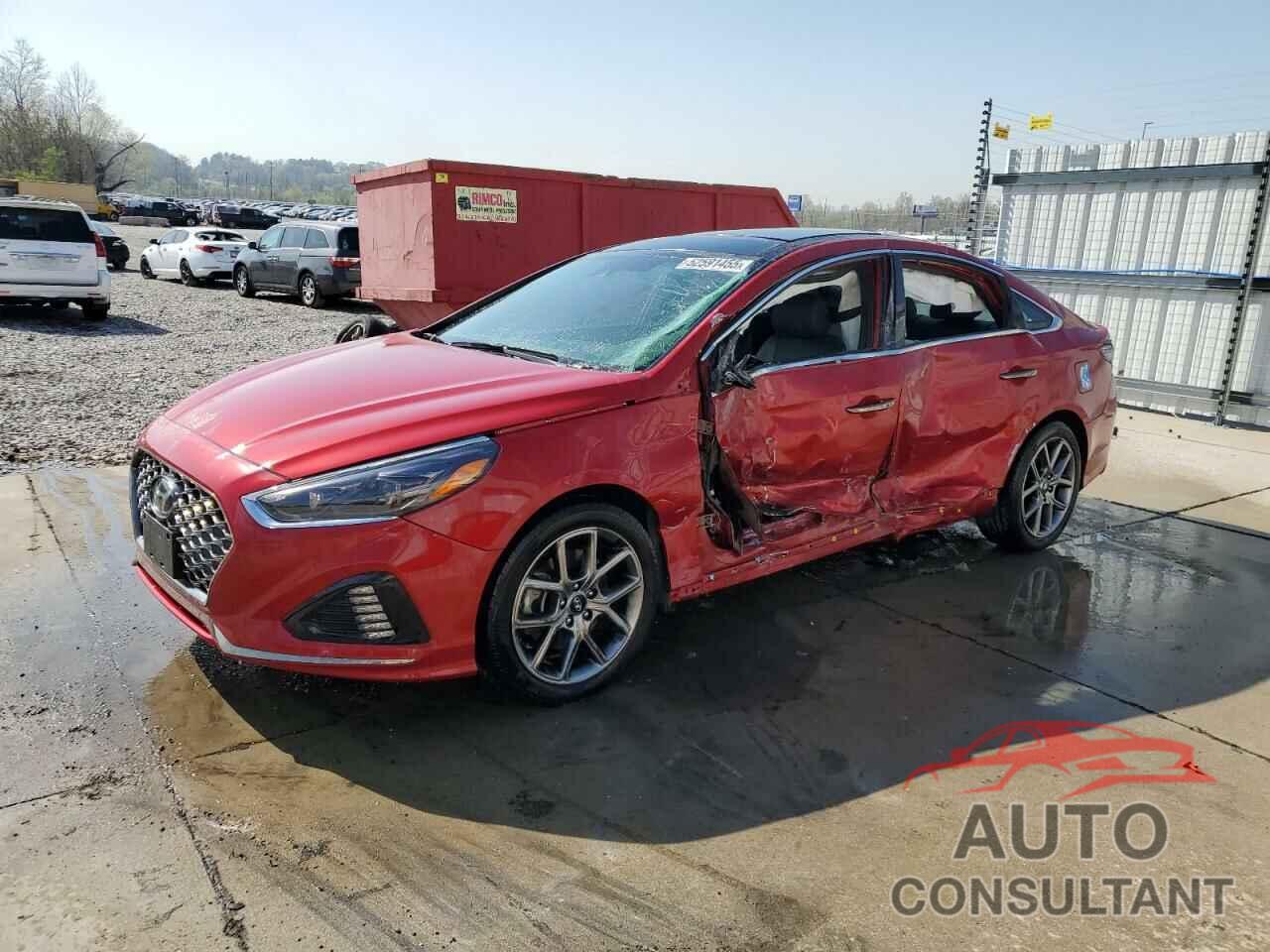 HYUNDAI SONATA 2019 - 5NPE34AB6KH777955