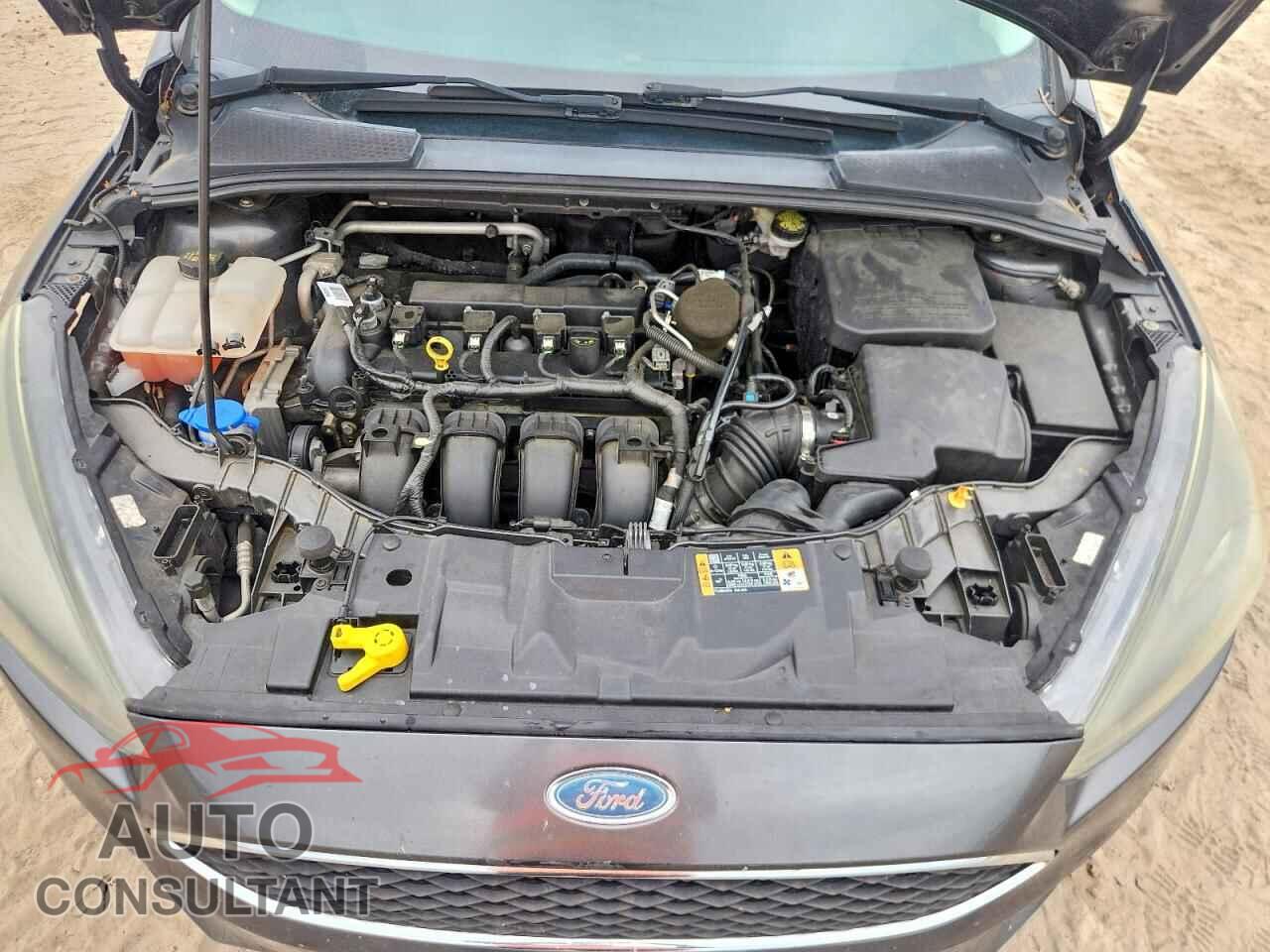 FORD FOCUS 2016 - 1FADP3K29GL299564
