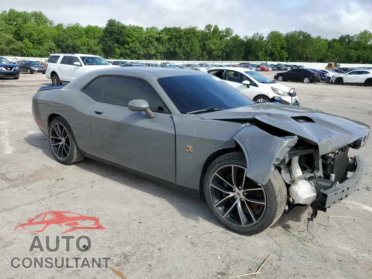 DODGE CHALLENGER 2018 - 2C3CDZFJ5JH175285