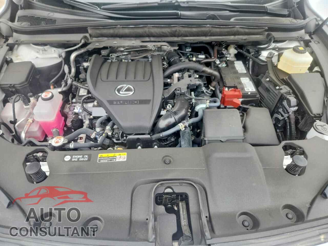 LEXUS RX350 2025 - 2T2BAMCA2SC123806