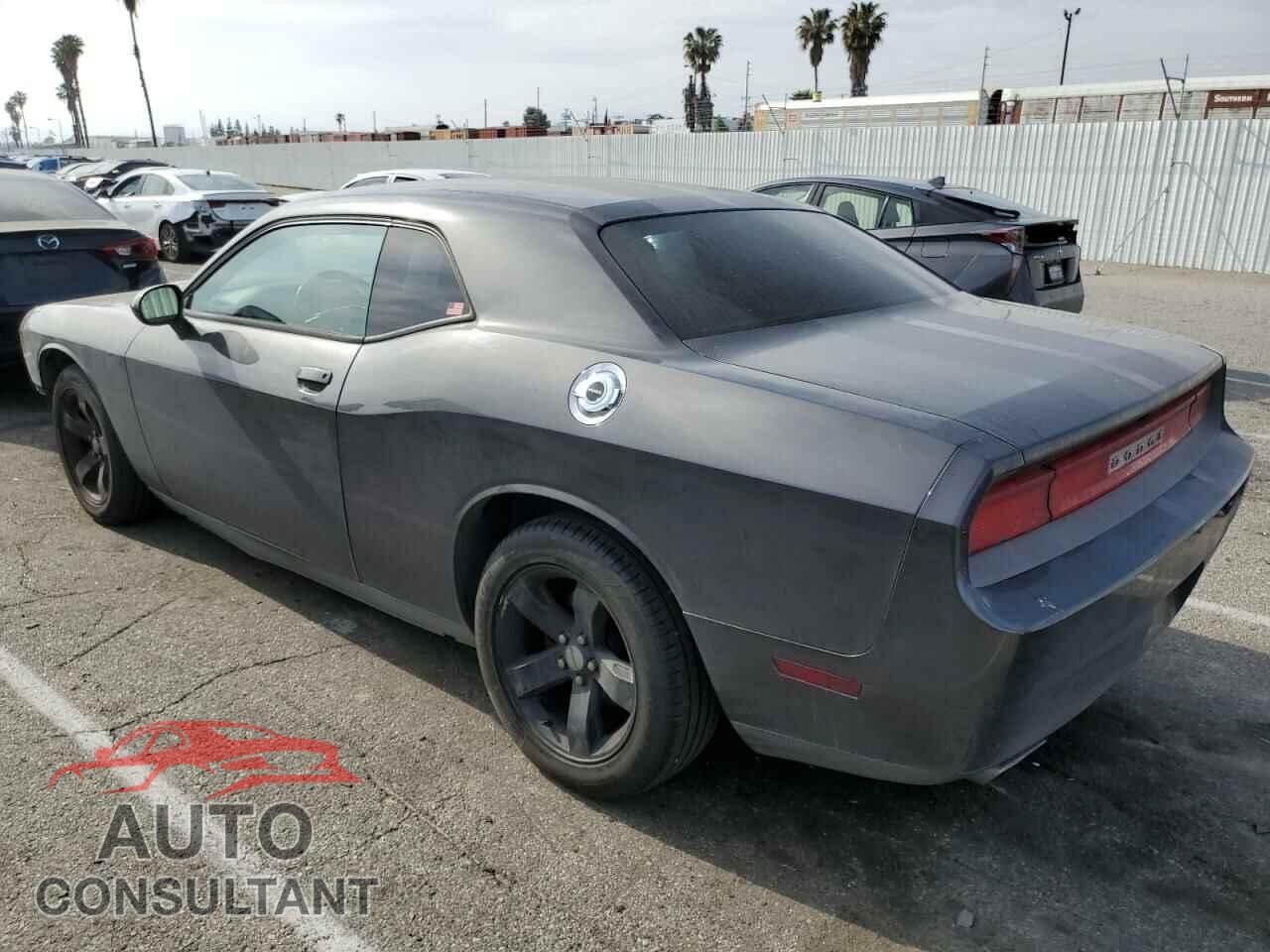 DODGE CHALLENGER 2013 - 2C3CDYAG7DH582051