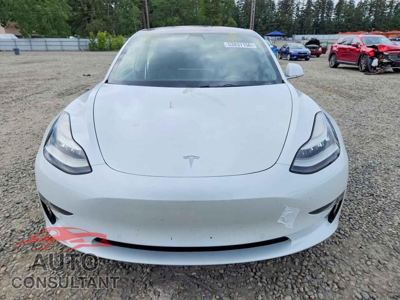 TESLA MODEL 3 2018 - 5YJ3E1EA2JF164584