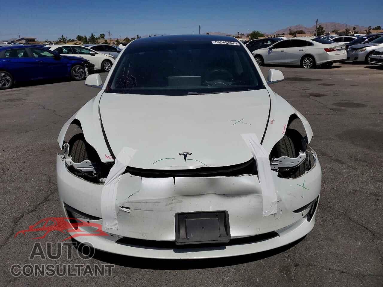 TESLA MODEL 3 2019 - 5YJ3E1EA6KF310549