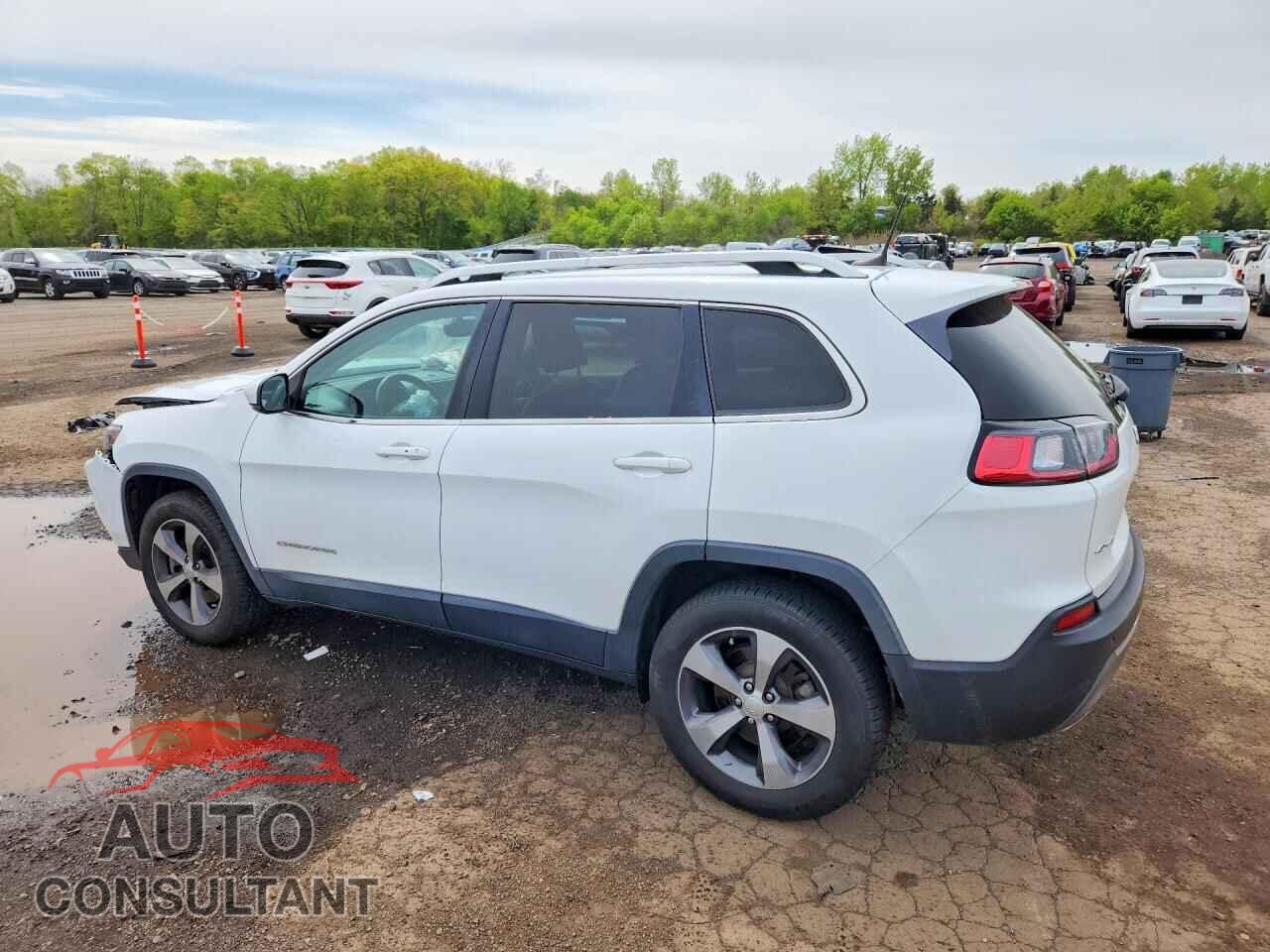 JEEP CHEROKEE 2019 - 1C4PJMDX3KD440686
