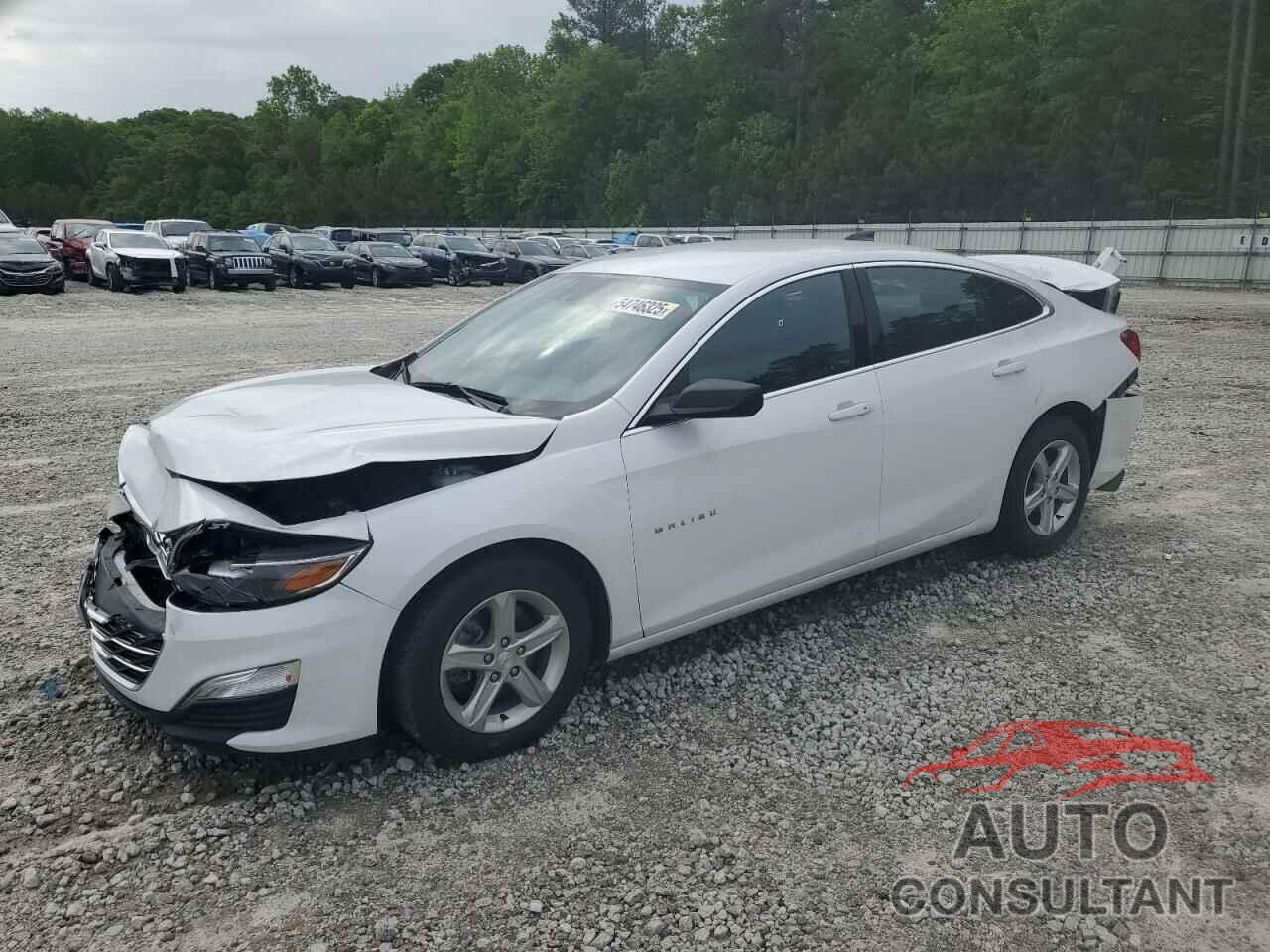 CHEVROLET MALIBU 2024 - 1G1ZC5ST5RF127056