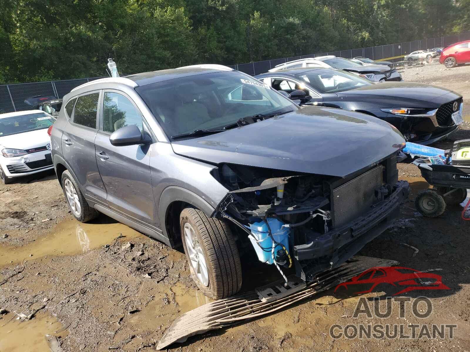 HYUNDAI TUCSON 2016 - KM8J33A43GU241189