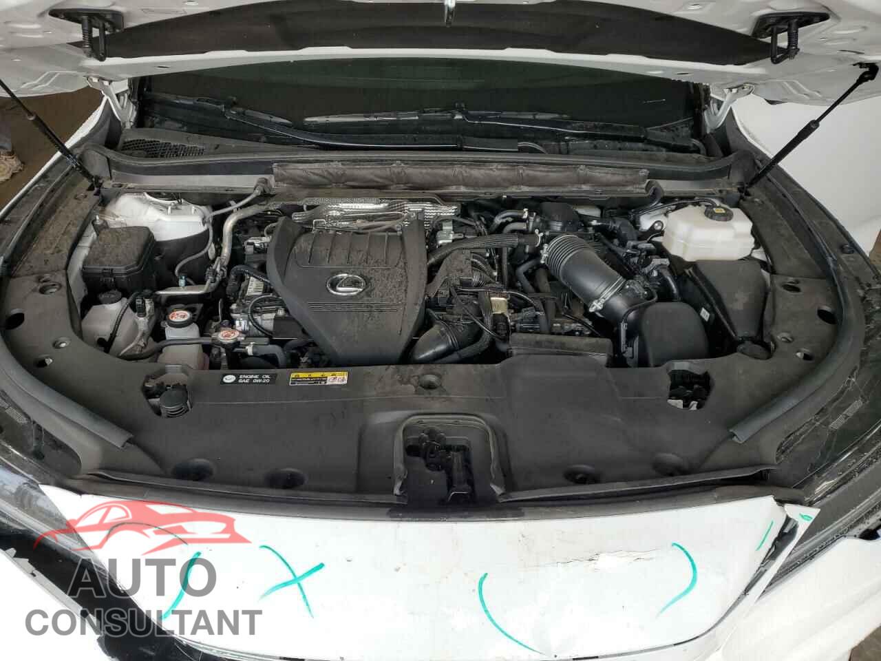 LEXUS RX 500H F 2023 - 2T2BCMEA2PC004863