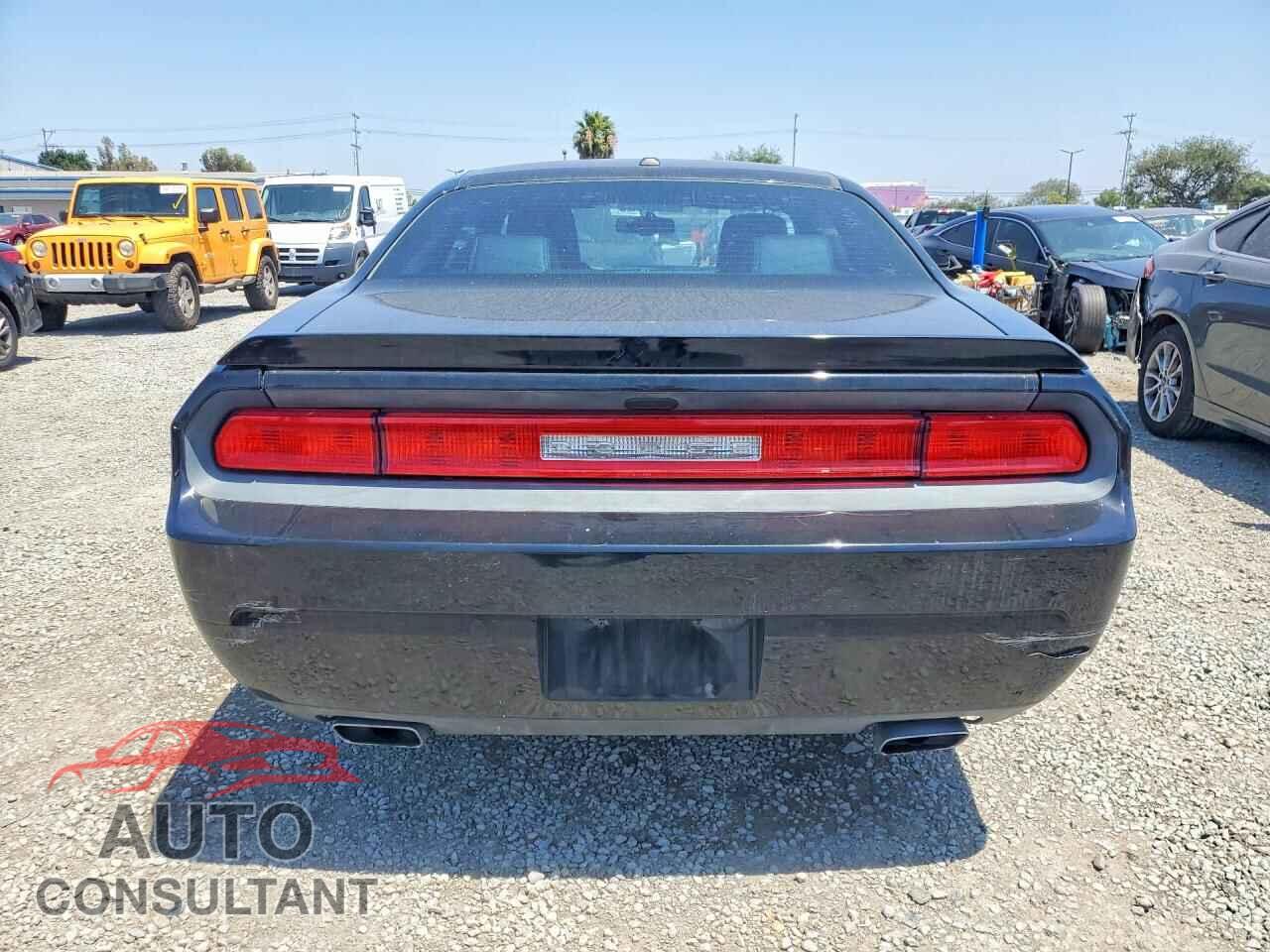 DODGE CHALLENGER 2013 - 2C3CDYAG9DH619908