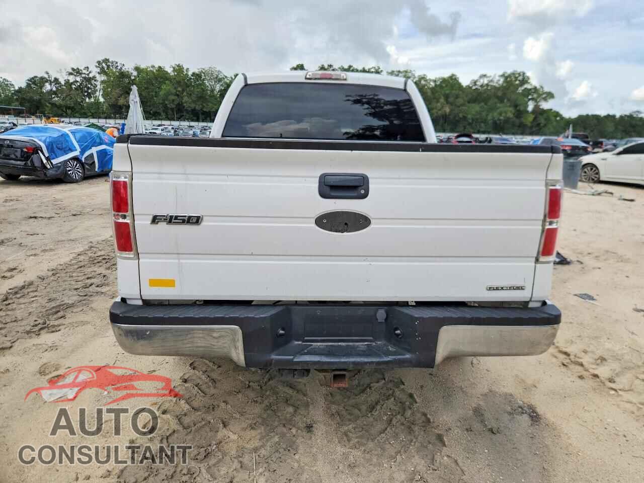 FORD F150 2011 - 1FTEW1CM8BKD06394