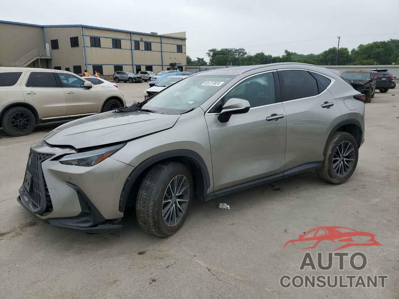 LEXUS NX 250 2023 - 2T2GDCAZ7PC005032