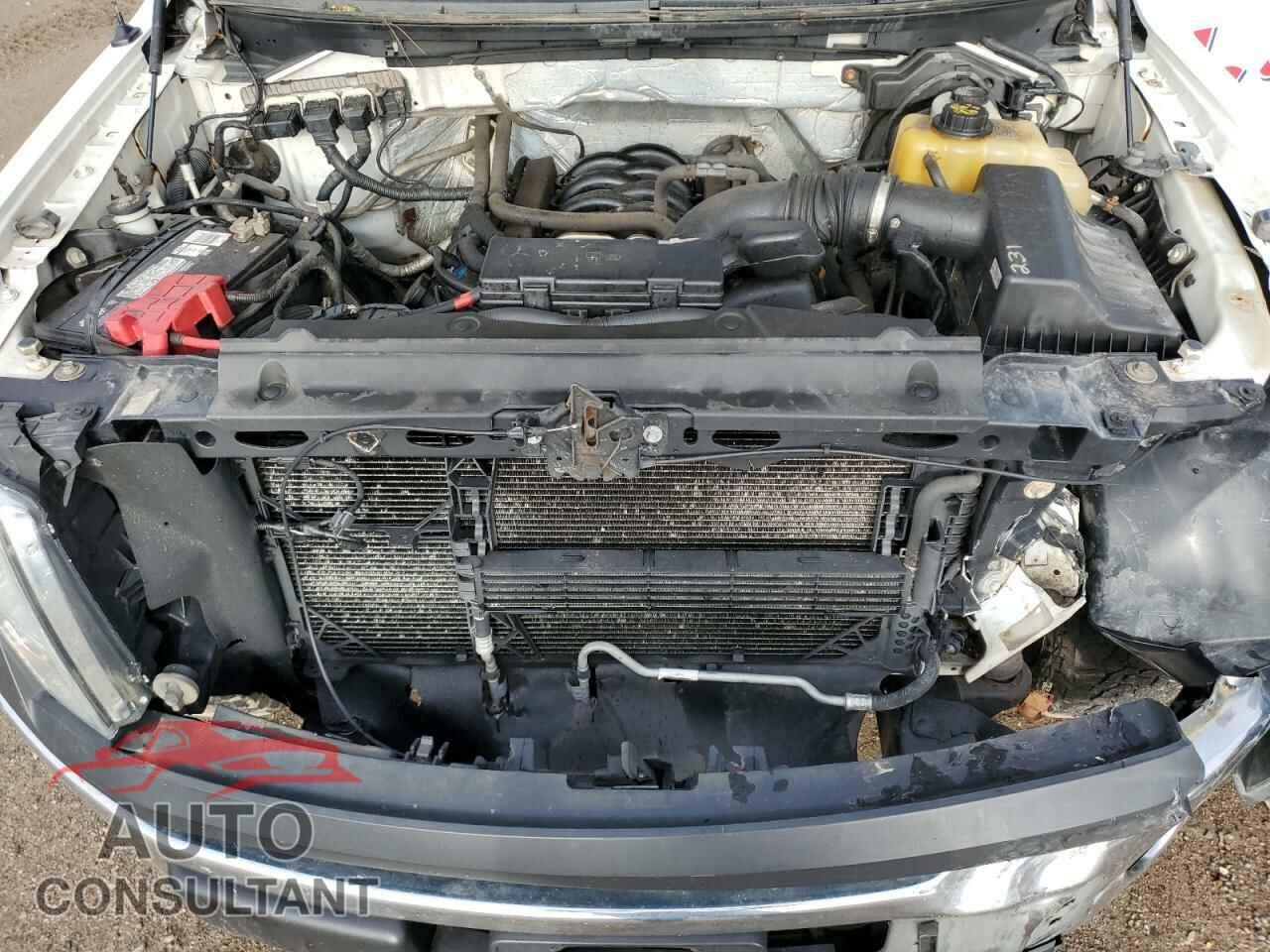 FORD F-150 2013 - 1FTFW1EF8DKF67899