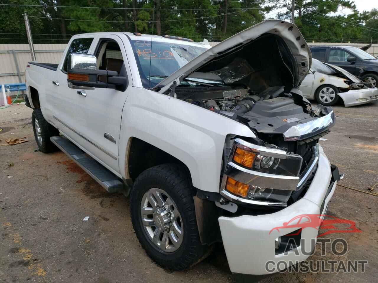 CHEVROLET SILVERADO 2019 - 1GC4KYEY8KF195421