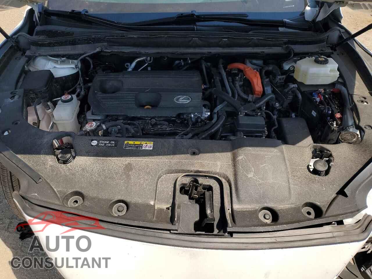 LEXUS RX300 2023 - 2T2BBMCA2PC015853