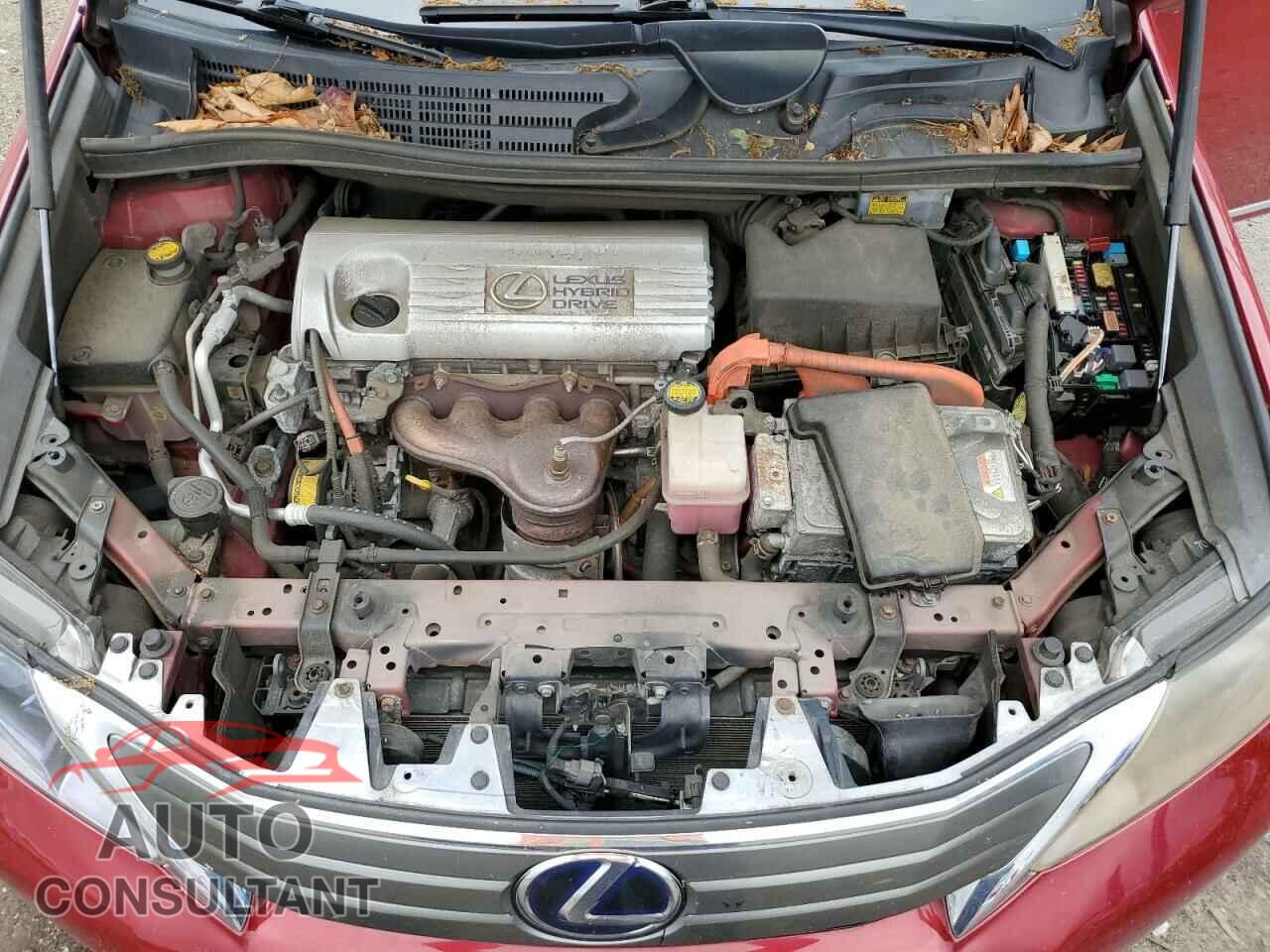 LEXUS HS 2010 - JTHBB1BAXA2037463