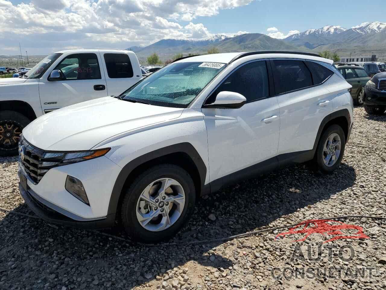 HYUNDAI TUCSON 2024 - 5NMJBCDE5RH325729