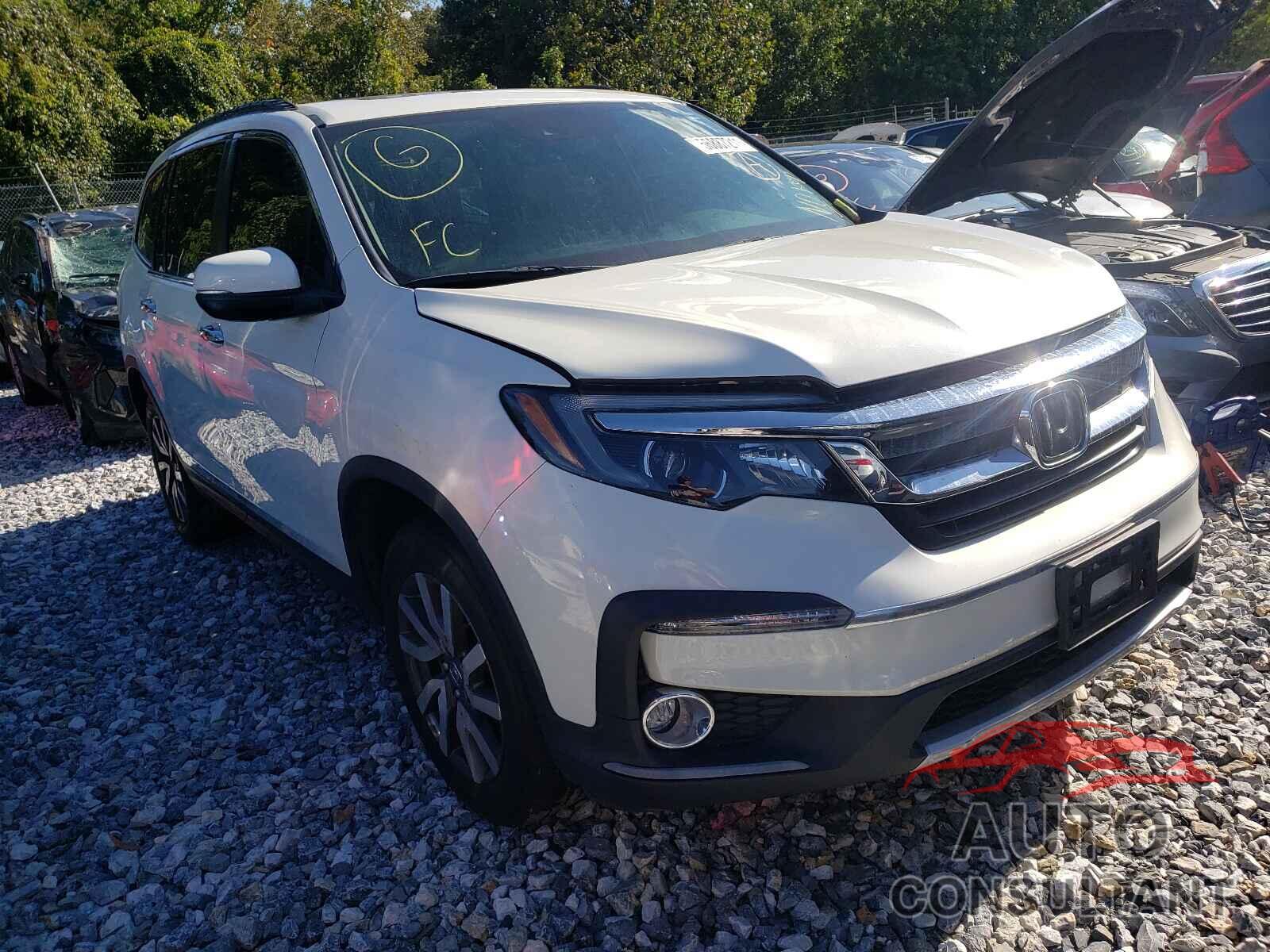 HONDA PILOT 2019 - 5FNYF6H59KB067124