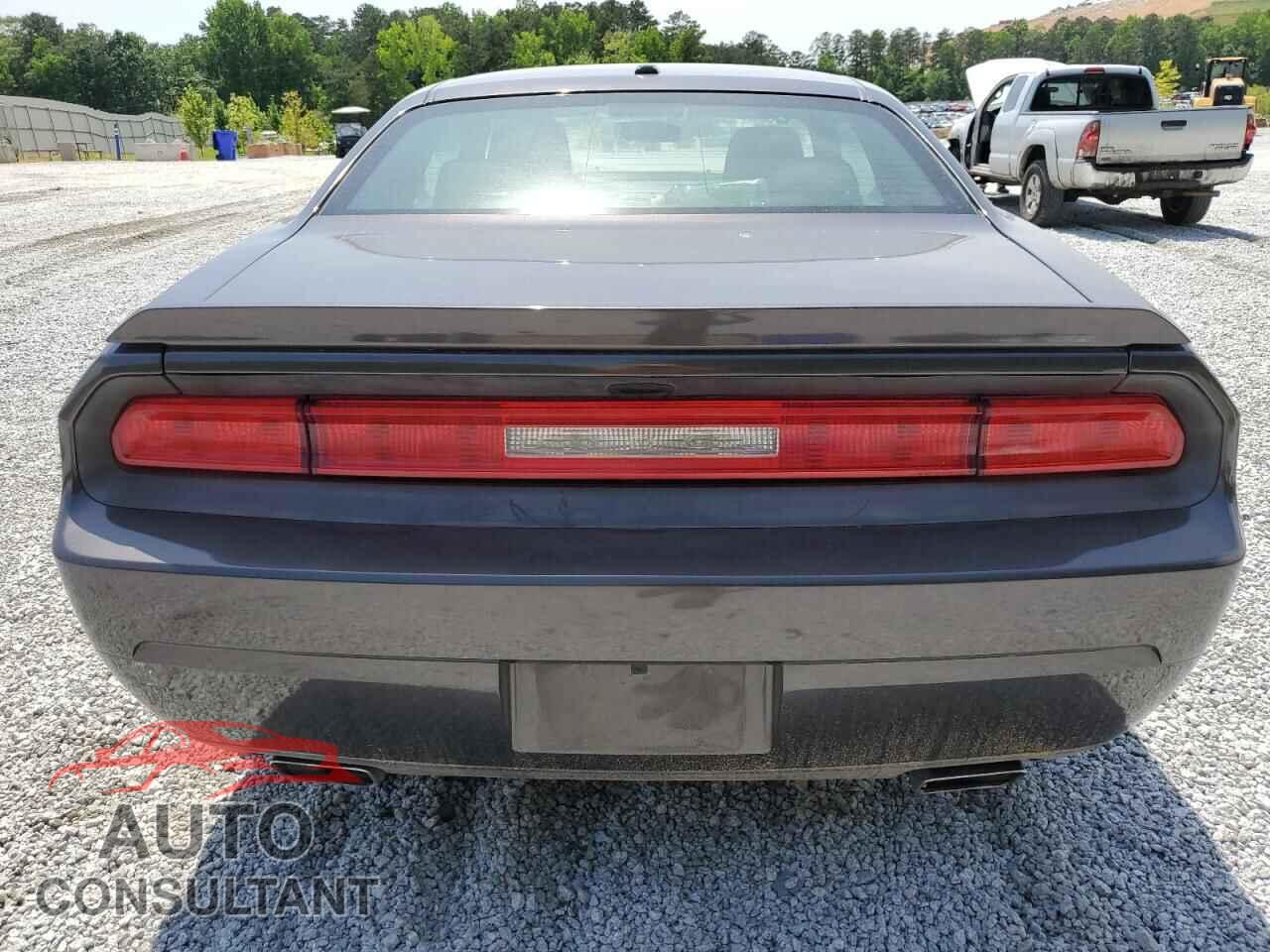 DODGE CHALLENGER 2013 - 2C3CDYAG4DH616219