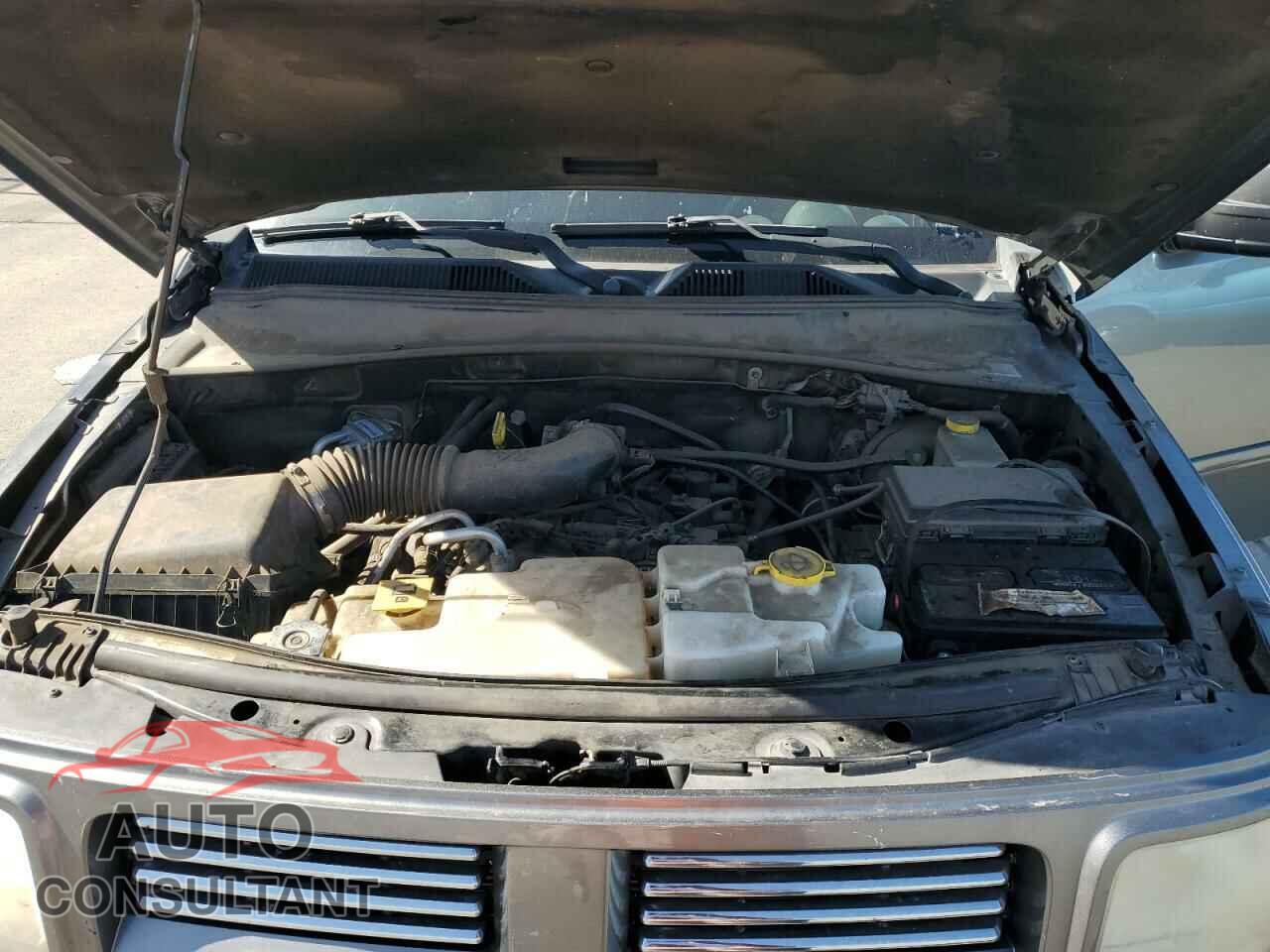 DODGE NITRO 2011 - 1D4PT4GK8BW605665