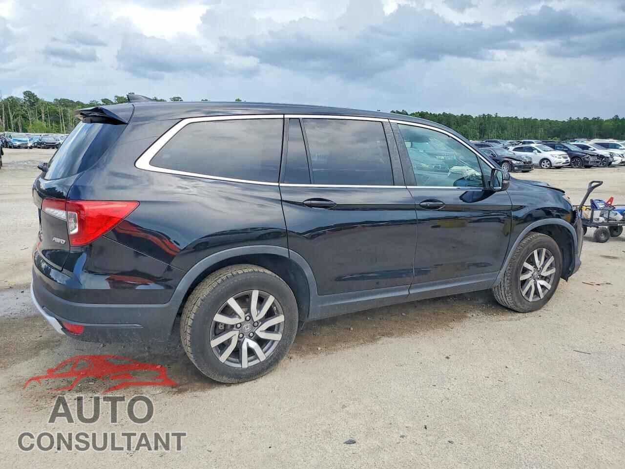 HONDA PILOT 2019 - 5FNYF6H5XKB052194