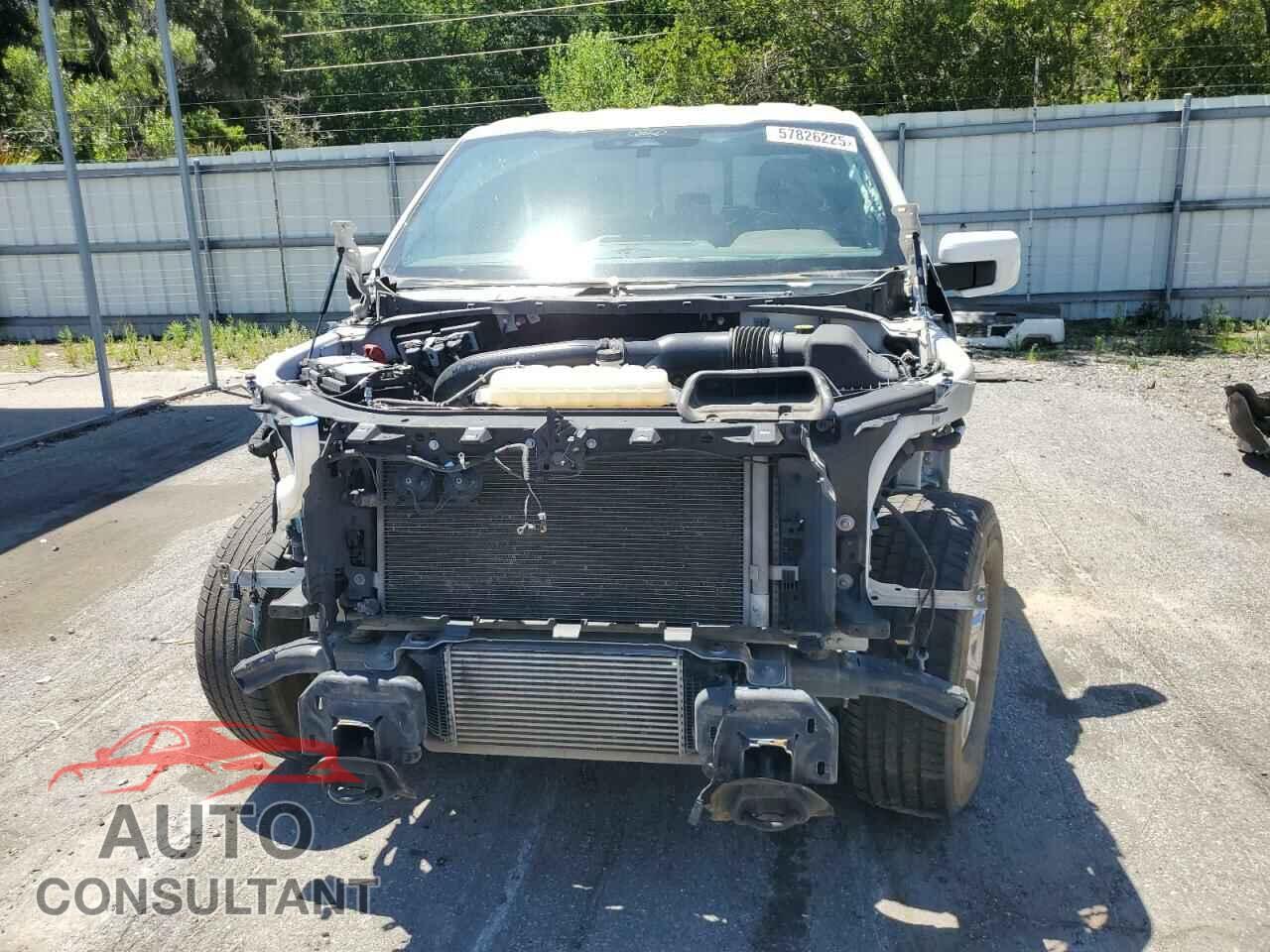 FORD F-150 2022 - 1FTFW1E86NFC12466