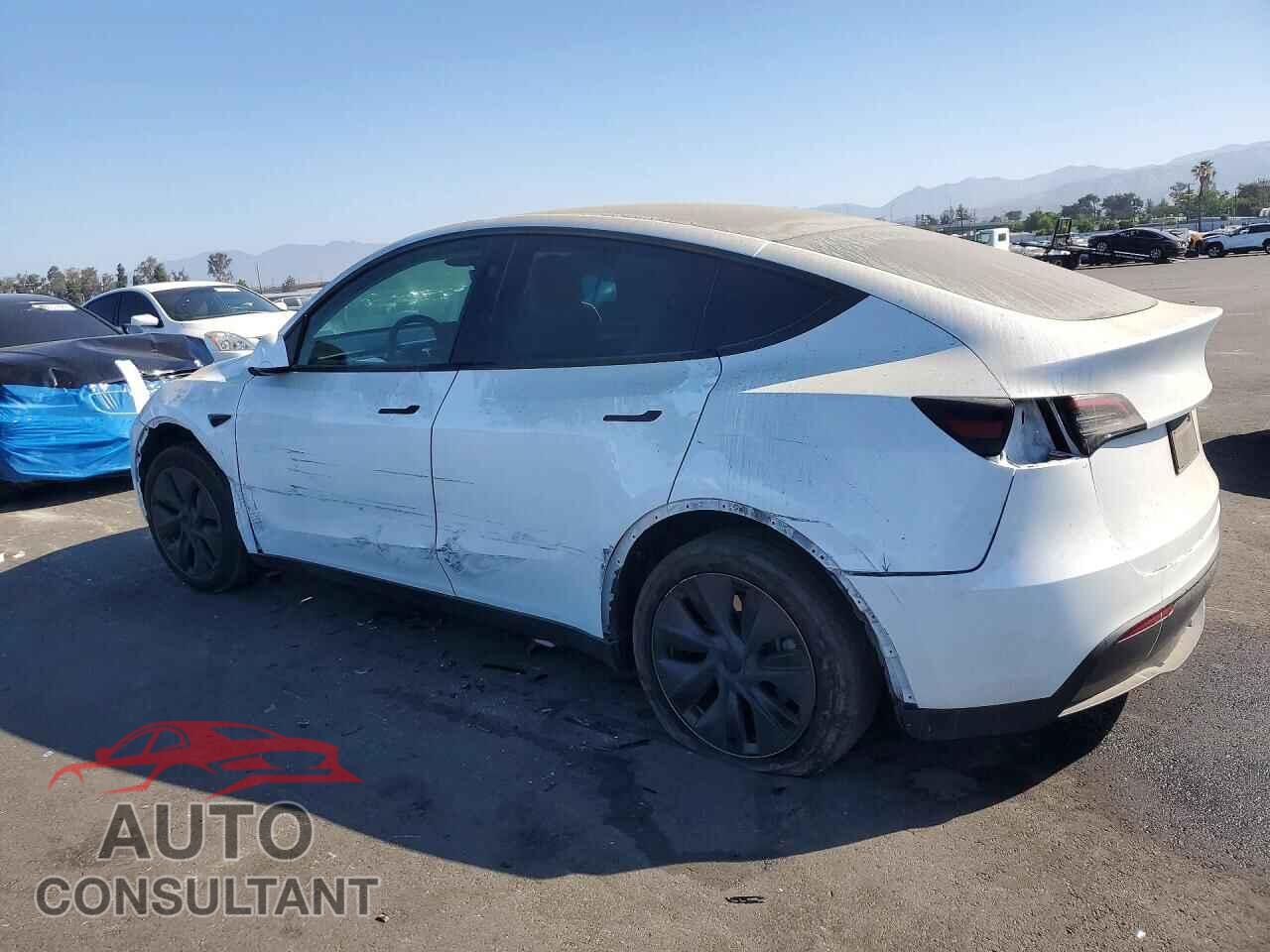 TESLA MDL 3 STD 2024 - 7SAYGDEE5RF105533