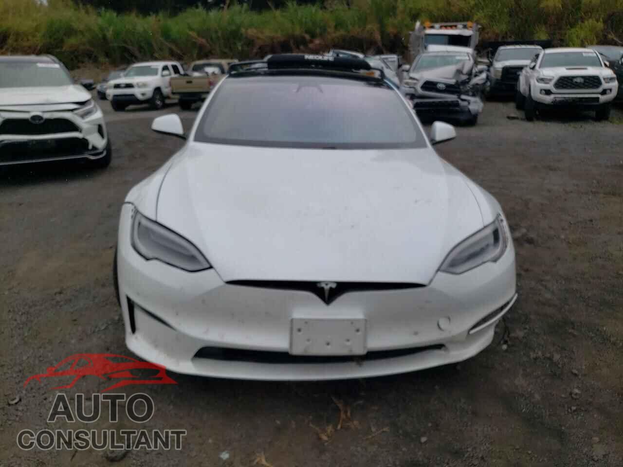 TESLA MODEL S 2021 - 5YJSA1E69MF439133