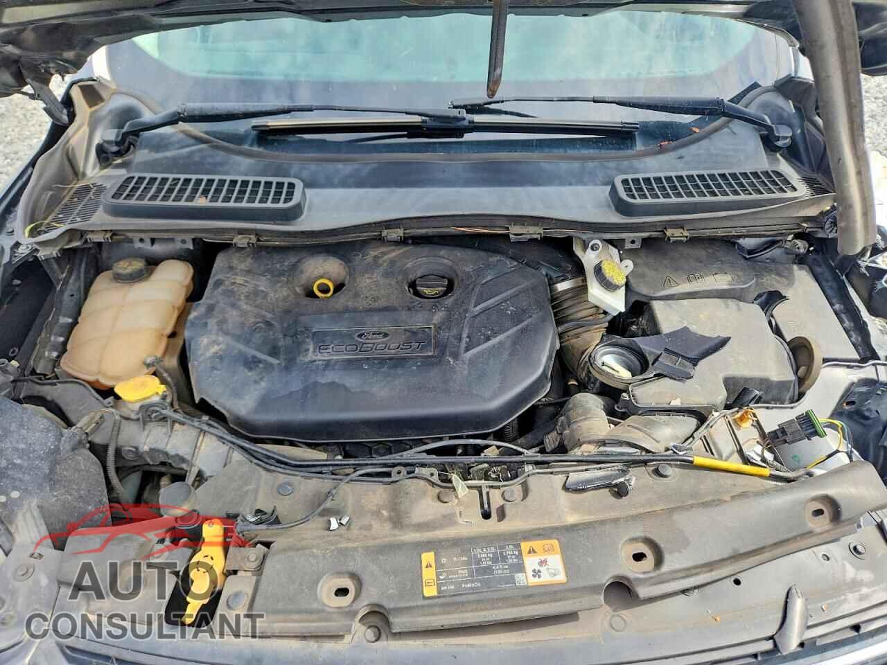 FORD ESCAPE 2016 - 1FMCU9G91GUC19302
