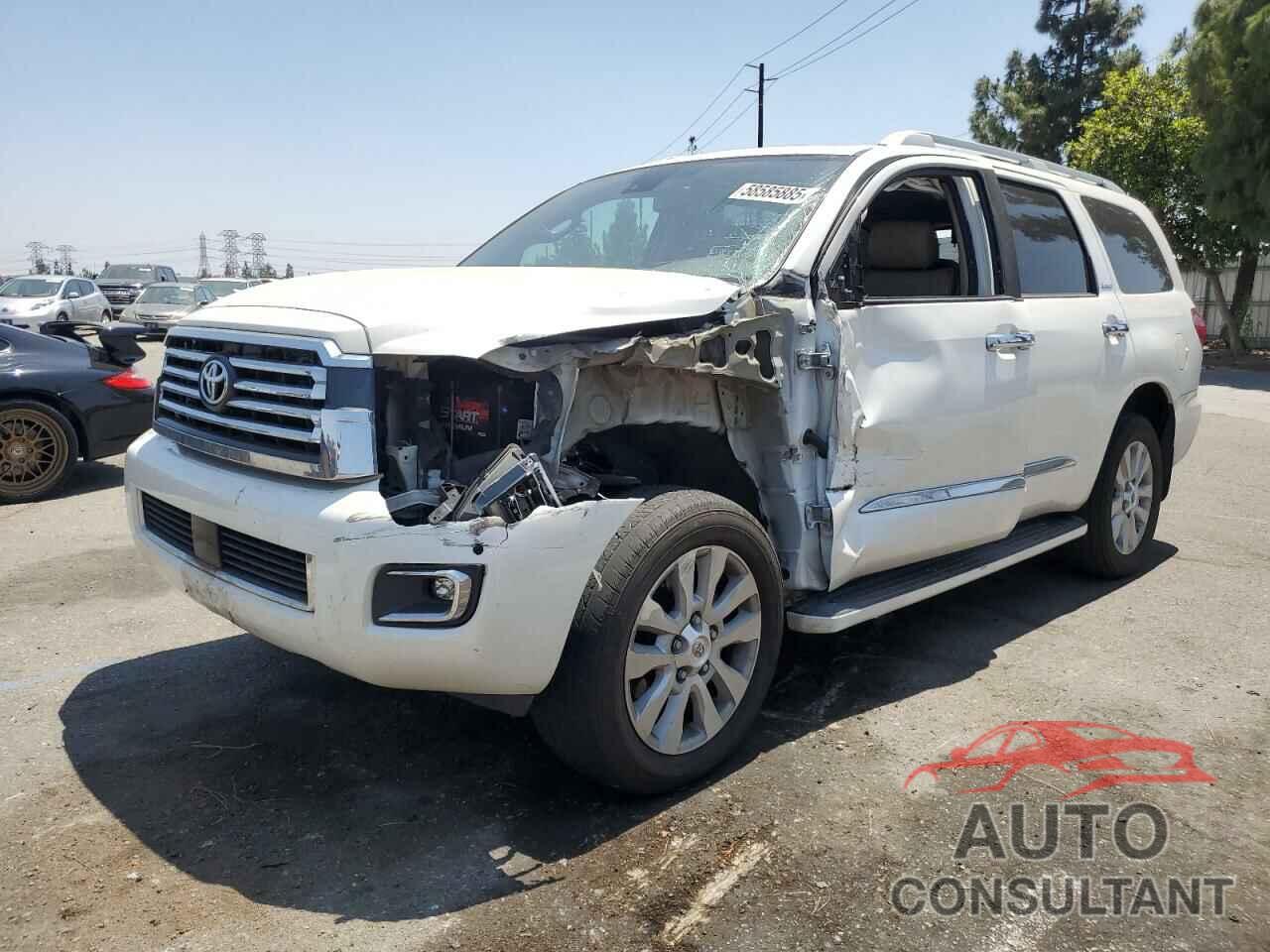 TOYOTA SEQUOIA 2019 - 5TDDY5G19KS172341