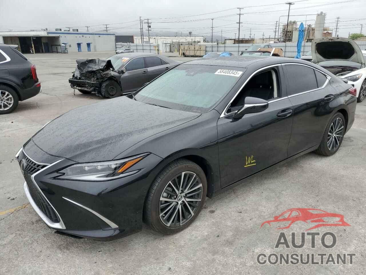 LEXUS ES300 2024 - 58ADA1C17RU044547