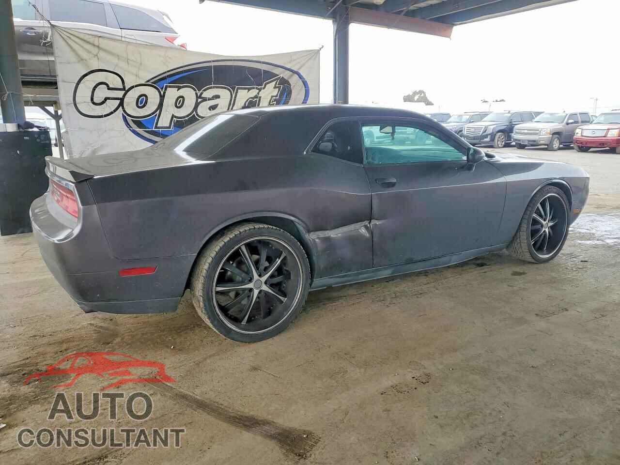 DODGE CHALLENGER 2013 - 2C3CDYAG8DH651751