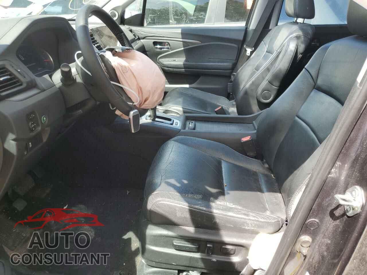 HONDA PILOT 2019 - 5FNYF5H56KB011104