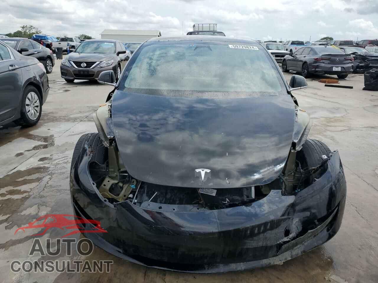 TESLA MODEL 3 2019 - 5YJ3E1EB0KF359268