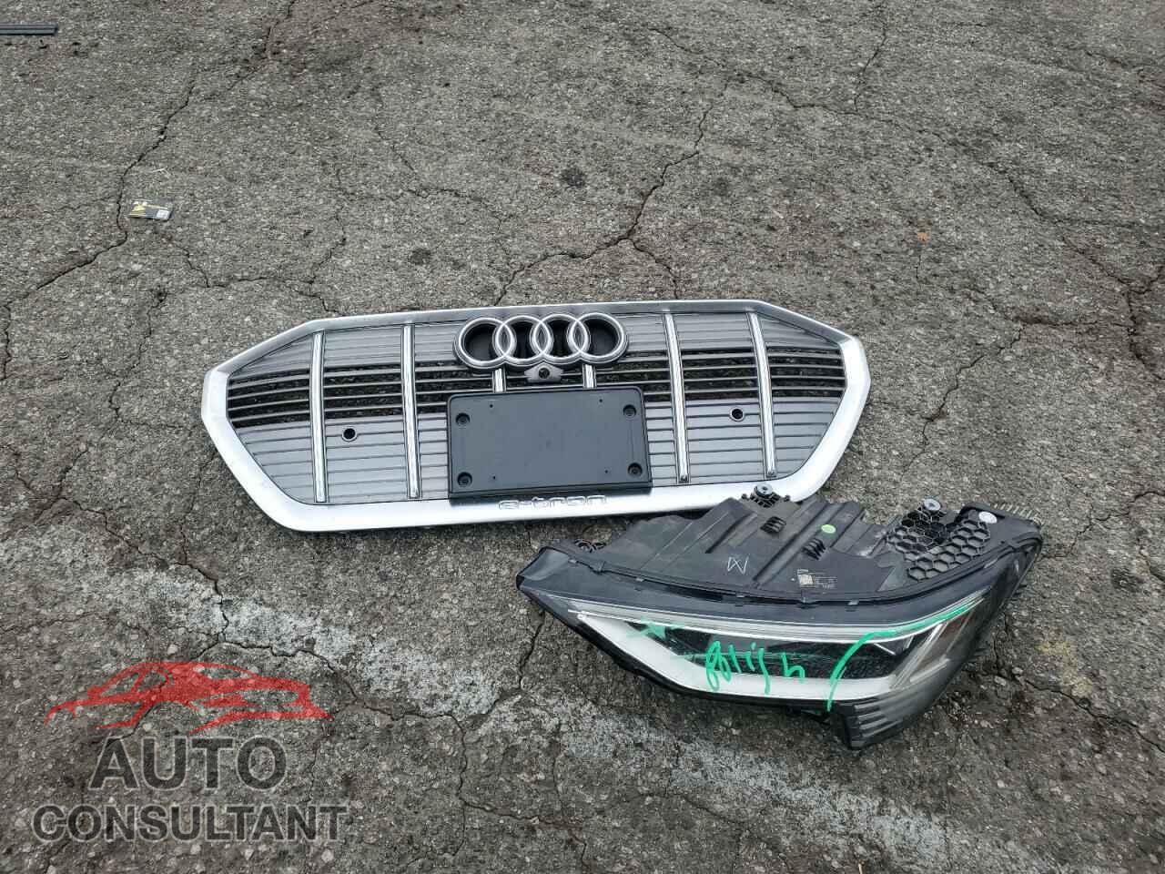 AUDI E-TRON 2019 - WA1LABGE4KB021801