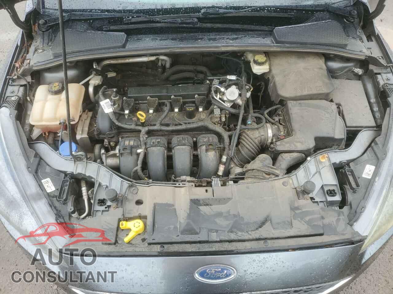 FORD FOCUS 2017 - 1FADP3M29HL202149
