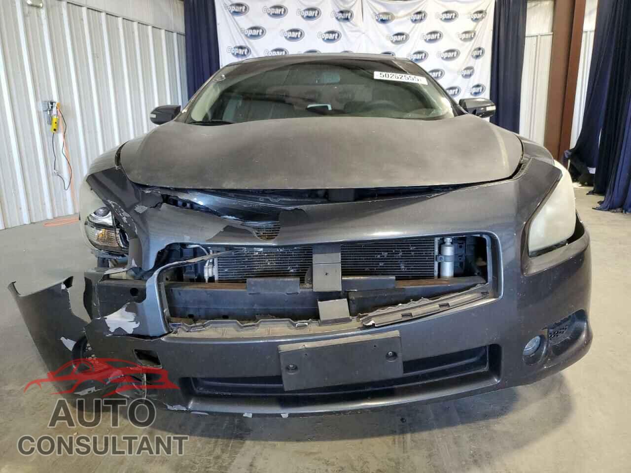 NISSAN MAXIMA 2009 - 1N4AA51E29C814516
