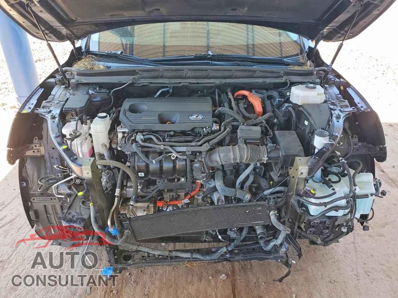 LEXUS UNKNOWN 2024 - 2T2BBMCA2RC024023
