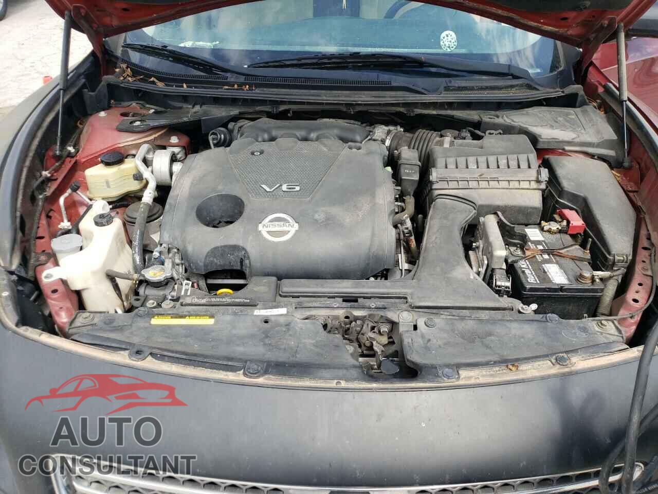 NISSAN MAXIMA 2011 - 1N4AA5AP2BC817830