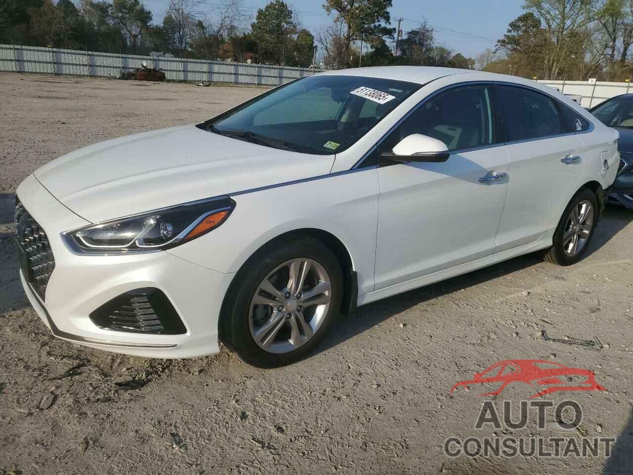 HYUNDAI SONATA 2019 - 5NPE34AF7KH782438