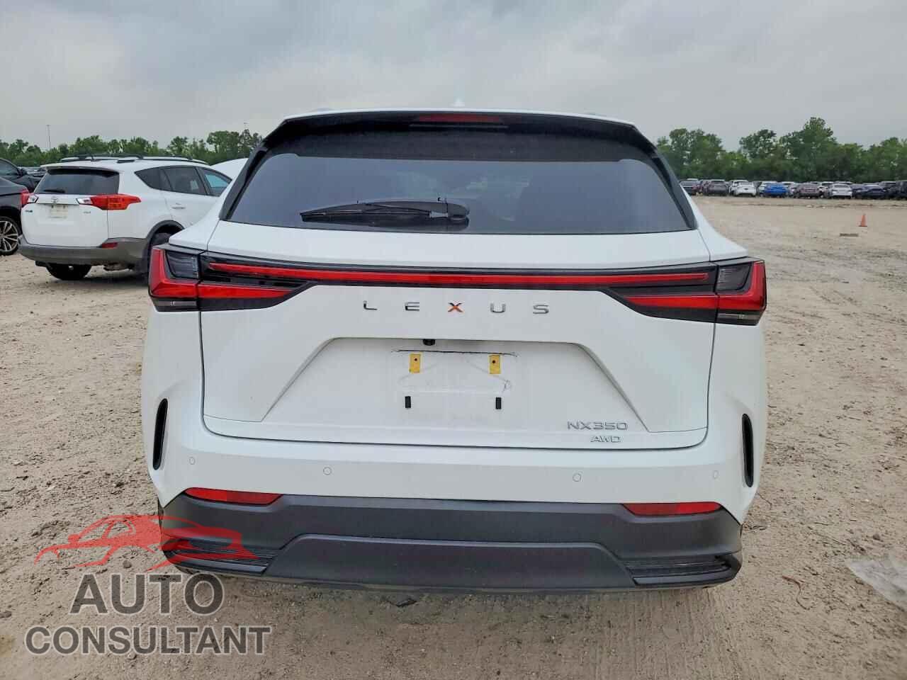 LEXUS UNKNOWN 2026 - 2T2GGCEZXTC097720