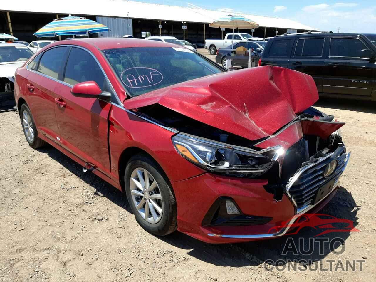 HYUNDAI SONATA 2019 - 5NPE24AF8KH780362