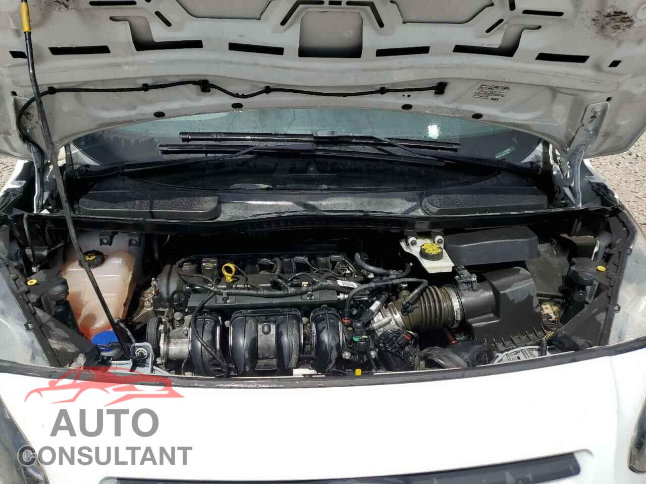 FORD TRANSIT 2017 - NM0LS7E79H1320006