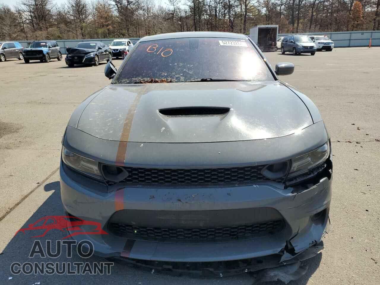 DODGE CHARGER 2019 - 2C3CDXCT7KH643139